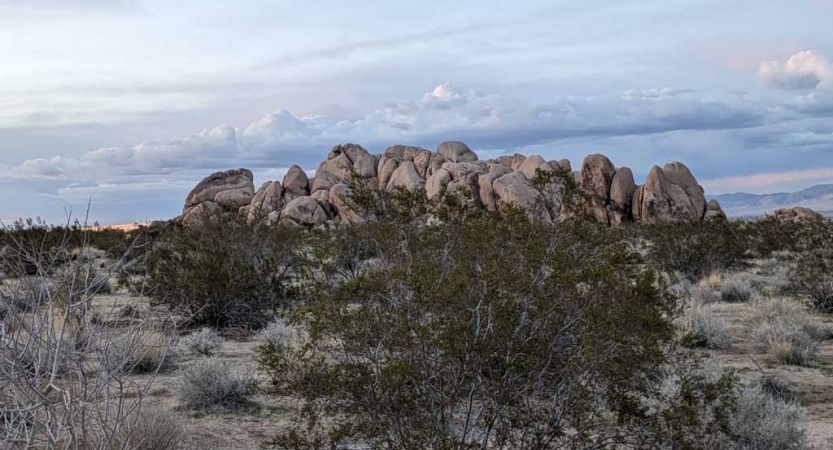 In the foreground, desert flora scatters the ground. In the background, there is a large rock formation. 